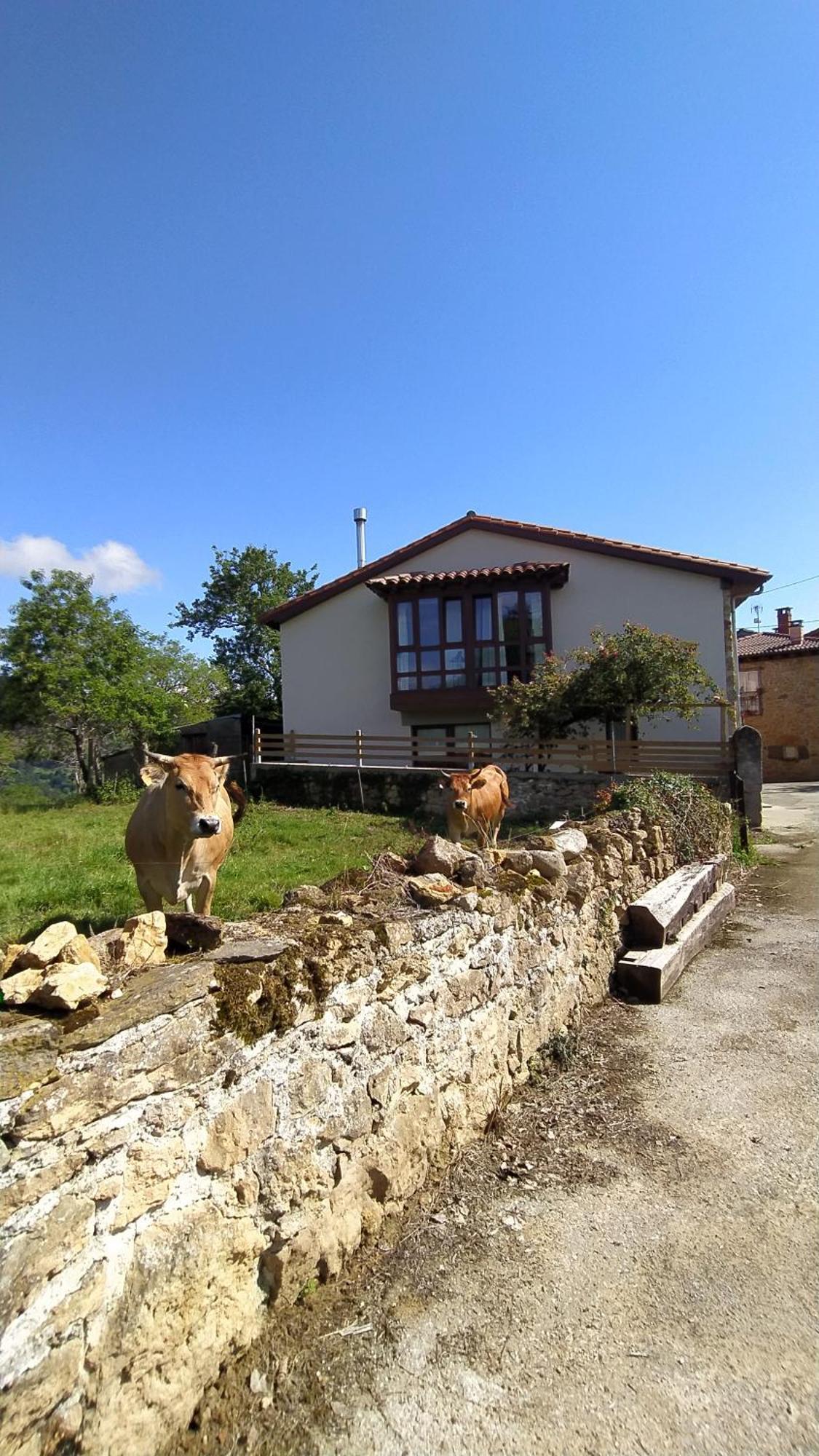 Villa El Rosal Beloncio Esterno foto